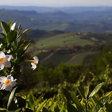 La Ribezza Boutique (adults Only) 5* Monforte D'Alba