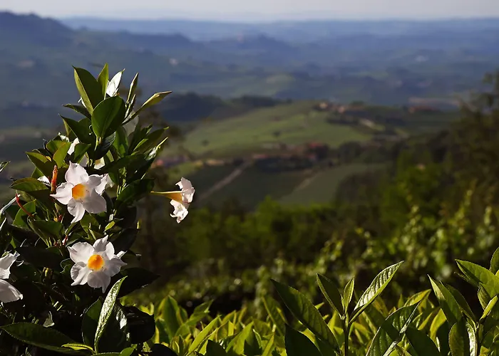 La Ribezza Boutique (adults Only) 5* Monforte dʼAlba